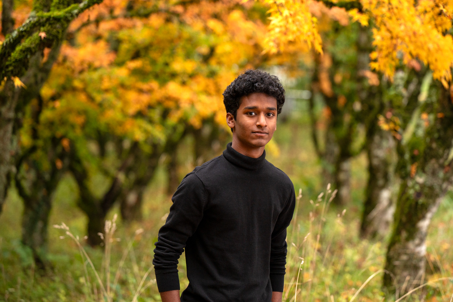 portfolio image